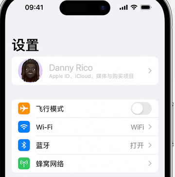 循化appleID维修服务iPhone设置中Apple ID显示为灰色无法使用 