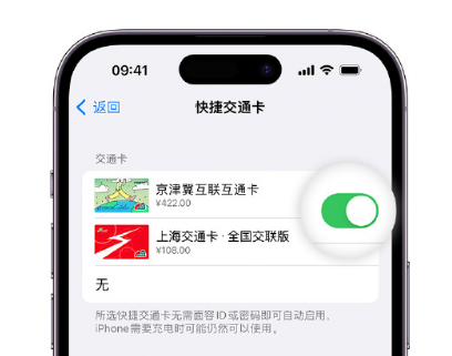 循化apple维修点分享iPhone上更换Apple Pay快捷交通卡手绘卡面 