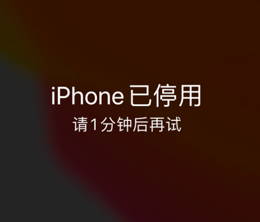 循化苹果手机维修分享:iPhone 显示“不可用”或“已停用”怎么办？还能保留数据吗？ 