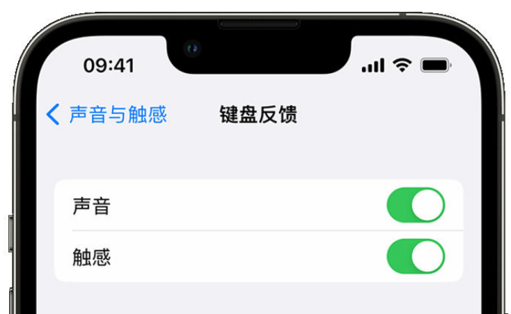 循化苹果手机维修分享iPhone 14触感键盘使用方法 