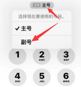 循化苹果14维修店分享iPhone 14 Pro Max使用副卡打电话的方法 