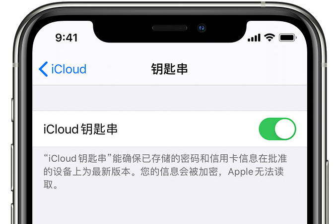 循化苹果手机维修分享在 iPhone 上开启 iCloud 钥匙串之后会储存哪些信息 