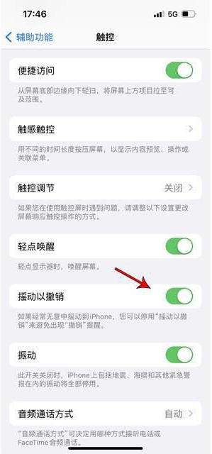 循化苹果手机维修分享iPhone手机如何设置摇一摇删除文字 